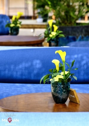 Ocean Club Marbella