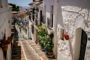 One Day Tour of Marbella, Mijas, Puerto Banus and Benalmadena