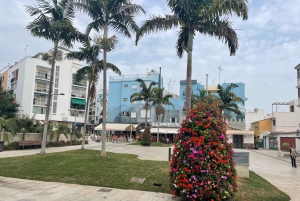 Privat sykkeltur i Estepona