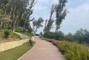 Privat sykkeltur i Estepona