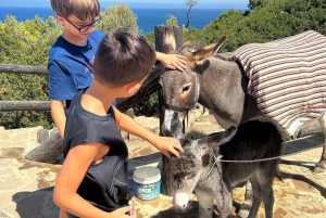 Privat Tanger-tur fra Marbella inklusive kamel og frokost