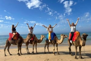 Tour privado guiado a Tánger desde Marbella con dicho