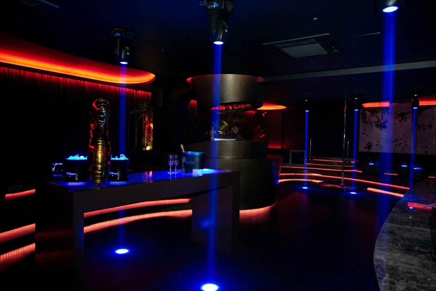 プライベートプエルトバヌスナイトライフウォーキングツアー