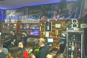 プライベートプエルトバヌスナイトライフウォーキングツアー