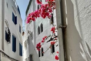 Privétour door Tanger vanuit Cádiz inclusief kameel en lunch