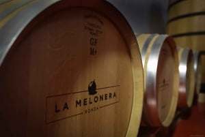 Tour Privado de Bodegas y Visita a Ronda