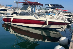 Puerto Banús: crociera privata con delfini e wakeboard