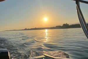 Puerto Banús: crociera privata con delfini e wakeboard