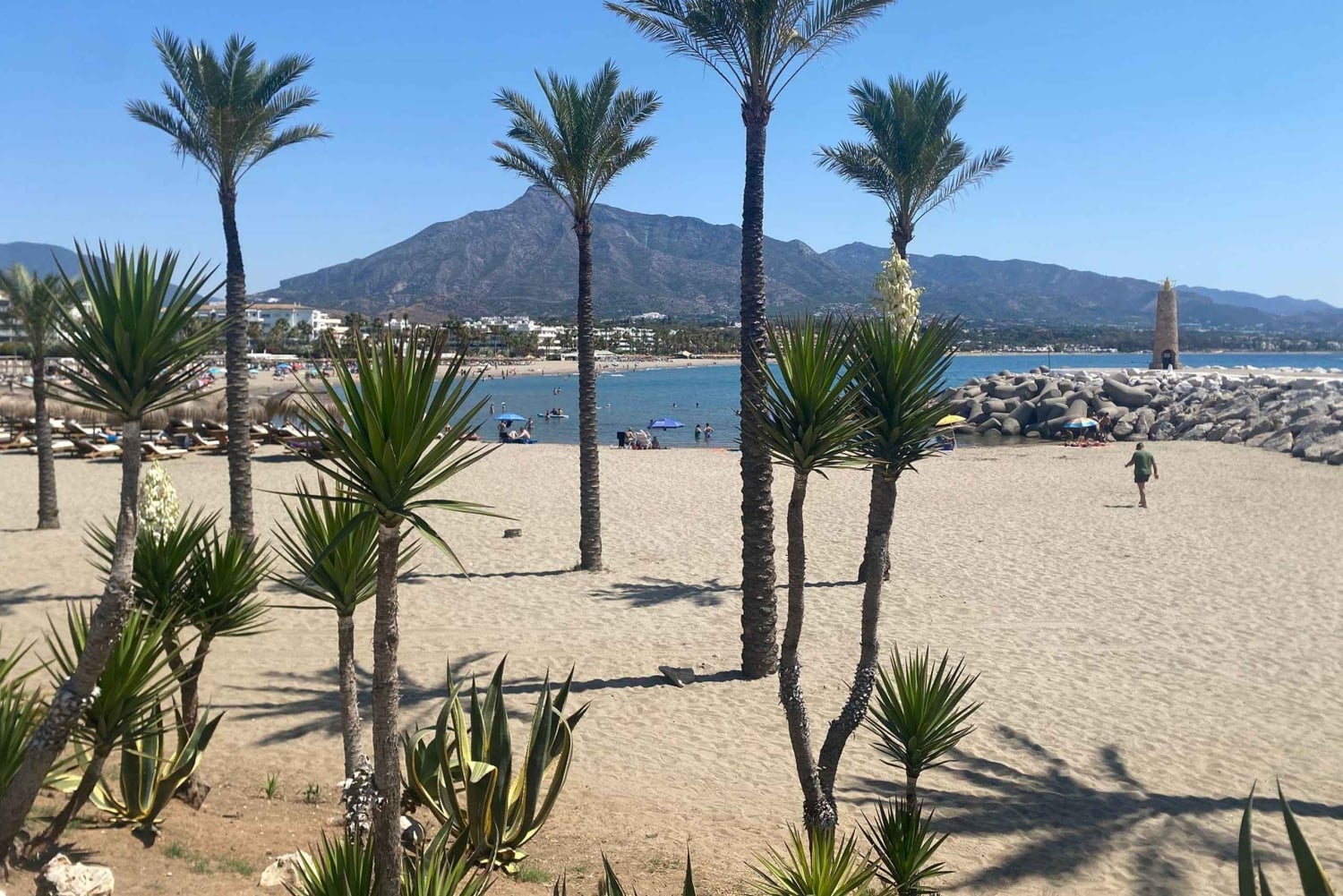 Puerto Banús: Privat hamnrundtur med tapas och dryck