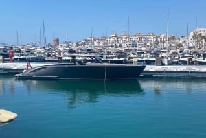 Puerto Banús: Privat hamnrundtur med tapas och dryck