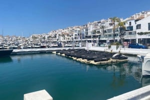 Puerto Banús: Privat hamnrundtur med tapas och dryck