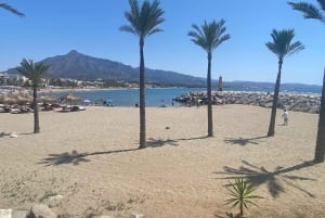 Puerto Banús: Privat hamnrundtur med tapas och dryck