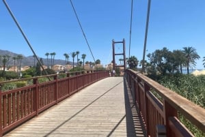 Puerto Banús: Privat hamnrundtur med tapas och dryck