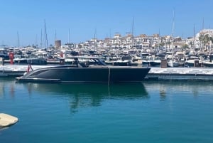 Puerto Banús: Privat hamnrundtur med tapas och dryck