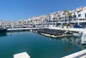 Puerto Banús: Privat hamnrundtur med tapas och dryck