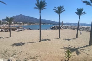 Puerto Banús: Privat hamnrundtur med tapas och dryck