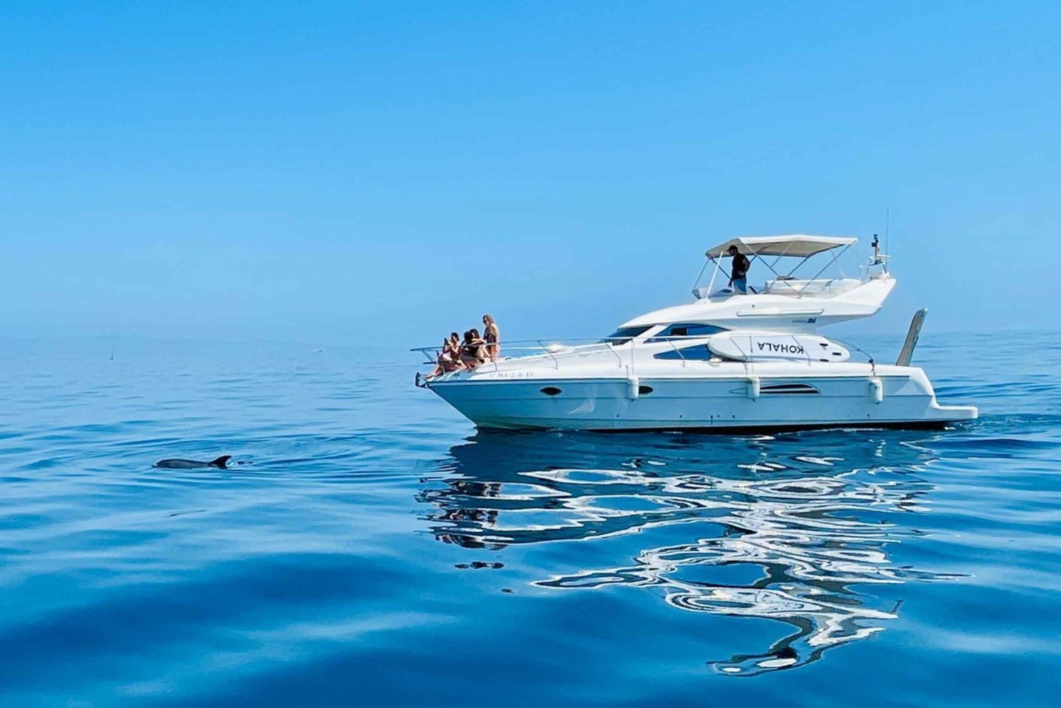 Puerto Banús: Private Yacht Cruise with Dolphin Watching