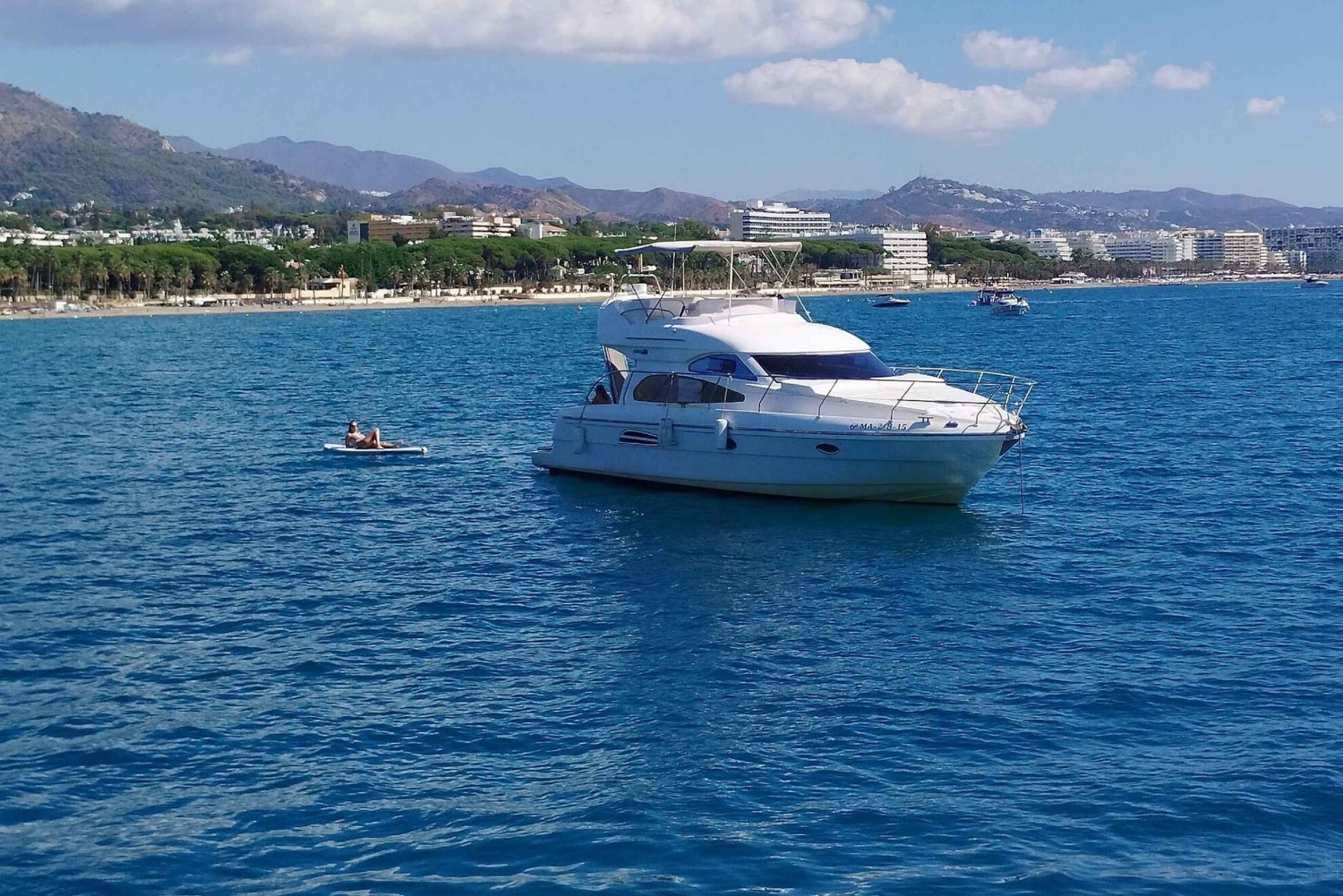 Puerto Banús: Private Yacht Cruise with Dolphin Watching