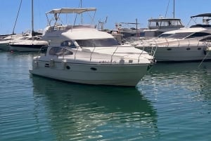 Puerto Banús: Private Yacht Cruise with Dolphin Watching