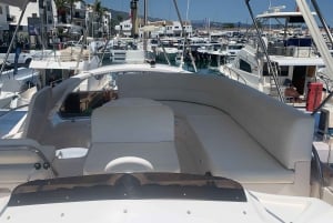 Puerto Banús: Private Yacht Cruise with Dolphin Watching