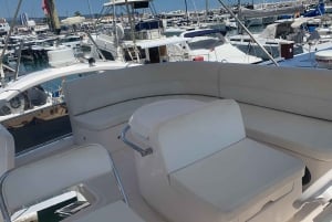 Puerto Banús: Private Yacht Cruise with Dolphin Watching