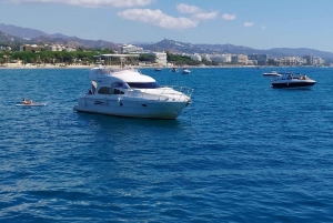 Puerto Banús: Private Yacht Cruise with Dolphin Watching