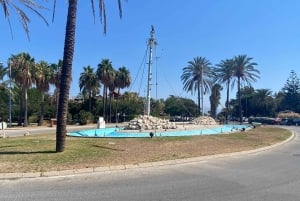 San Pedro de Alcantara: prywatna wycieczka rowerowa do Puerto Banus