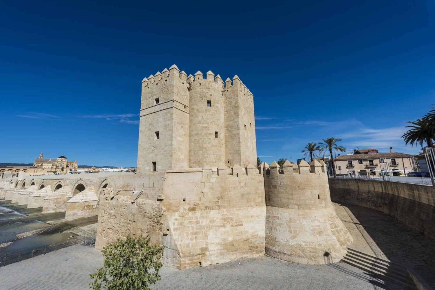 Sevilla: Cordoba privat og fullt tilpassbar dagsomvisning