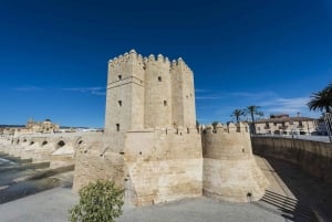 Sevilla: Cordoba privat og fullt tilpassbar dagsomvisning