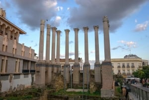 Sevilla: Cordoba privat og fullt tilpassbar dagsomvisning