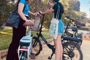 Seville: Flamenco Tour on eBike with Show
