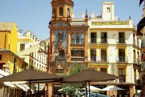 セビリア：eBike で行くフラメンコ ツアーとショー