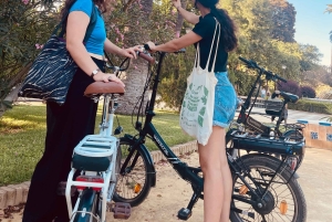 セビリア：eBike で行くフラメンコ ツアーとショー