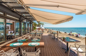 Best Paella in Marbella