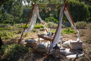 Sotogrande: stylowy piknik z tapas.