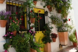 Torremolinos-Benalmádena: Jeep EcoTour - La auténtica Andalucía