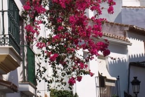 Torremolinos-Benalmádena: Jeep EcoTour - La auténtica Andalucía