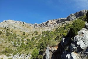 Torremolinos-Benalmádena: Jeep EcoTour - La auténtica Andalucía