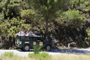 Torremolinos-Benalmádena: Jeep EcoTour - La auténtica Andalucía