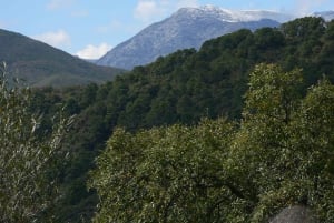 Torremolinos-Benalmádena: Jeep EcoTour - La auténtica Andalucía