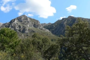 Torremolinos-Benalmádena: Jeep EcoTour - La auténtica Andalucía