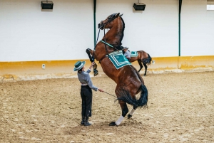 Torremolinos: Andalusian Horse Show with Flamenco Dance