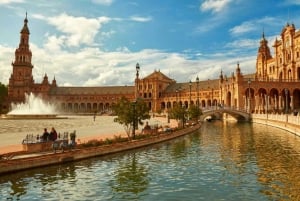 transfer från Malaga flygplats till Estepona