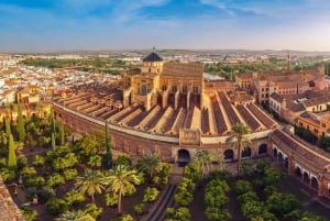 Traslado do aeroporto de Málaga para Granada