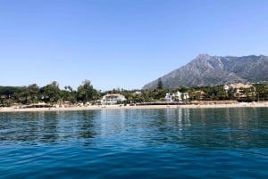 Up to 11 Pax enjoy the Marbella coast line on board