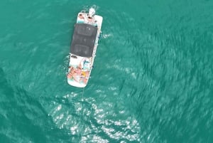 Do 11 osób na pokładzie może cieszyć się wybrzeżem Marbelli