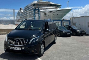 Vip Malaga Privat Transfer till Marbella