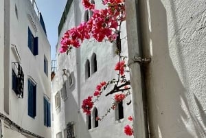 Vip Private Tangier Tour from Tarifa with Ali All Included