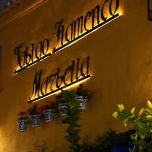 Flamenco Show at the Tablao Flamenco Marbella