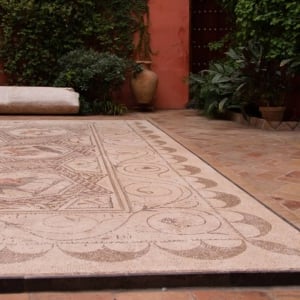 Guided Tour of Casa de Salinas